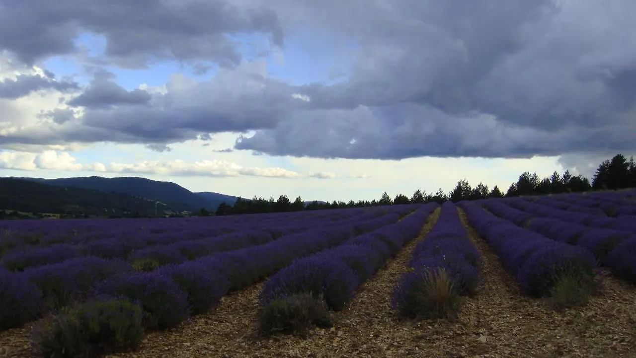Bed & Breakfast La Maison Bleue Sault-de-Vaucluse